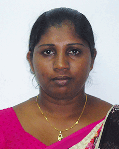 729H Rajawatta Parana Kotasa